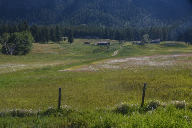 countryside